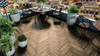 SPC ламинат Alpine Floor ECO 19-10 Макадамия Parquet Premium ABA 43 класс 600х125х8 мм (каменно-полимерный) с фаской