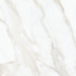 Керамогранит White Gold Glossy FLPR Villeroy and Boch 60x60 полированный универсальный 2660ZN2P