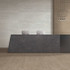 Керамогранит TC White Mat Asia Pacific 60х120 матовый универсальный