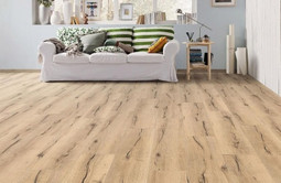 Tritty 100 Campus 4V