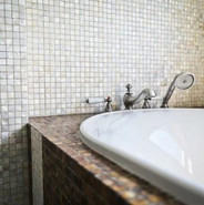 Shell (Ракушка)