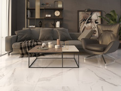 Carrara Premium