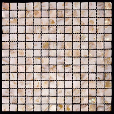 Мозаика SMA-03-20 305x305 20x20 ракушка