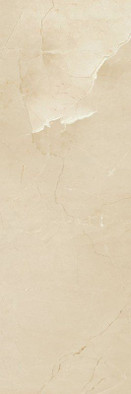 Настенная плитка Passion R90 Champagne керамическая