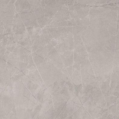 Керамогранит Silver Pulido 120x120 универсальный