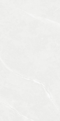 Керамогранит Devin Light Gray полированный ректифицированный размер 60x120 Novin Ceram Yazd Tile Co универсальная плитка N9941T30