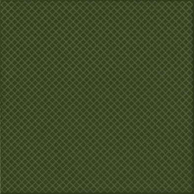 Настенная плитка Regis Verde Botella 20x20 глянцевая
