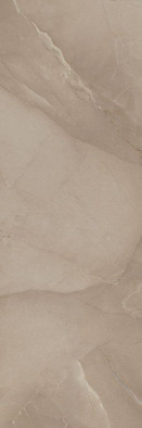 Настенная плитка Passion R90 Taupe керамическая