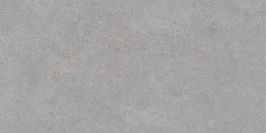 Керамогранит DL500820R серый светлый 119.5х60 Kerama Marazzi Фондамента матовый универсальная плитка