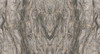 Керамогранит Frappuccino 120x270 Matt (6 мм) Zodiac Ceramica матовый универсальная плитка MN319CY271206