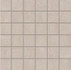 Мозаика TN00 (5х5) 30x30 неполированная керамогранит, бежевый 67373