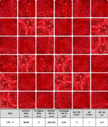Мозаика Leo-4 стекло 30х30 см прозрачная чип 48х48 мм, красный