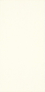 Настенная плитка Moonlight Bianco 29,5х59,5 (Рект.) глянцевая керамическая