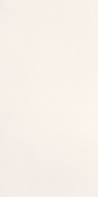 Настенная плитка W- white-29,8x59,8 матовая керамическая