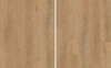SPC ламинат Evofloor Oak Honey (Дуб Медовый) Home 42 класс 1220х183х4 мм (каменно-полимерный)