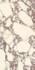 Керамогранит Marmi Classici Calacatta Viola Luc 60x120 Ariostea полированный универсальный G010915