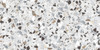 Керамогранит Terrazzo White Ntceramic 60х120 матовый универсальный NTT99606M