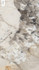Керамогранит Patagonia Polished 3200x1600x20 TechGres Stone and Marble полированный универсальная плитка