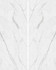 Керамогранит Carrara AX Book Match and Dry Effect 120х300 Favania матовый универсальный