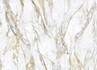Керамогранит Calacatta Royal 120x260 Matt (6 мм) Zodiac Ceramica матовый универсальный MN039AY261206