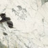 Керамогранит PAT WH6 120 RM (PATWH6120RM) 120х120 Imola Ceramica матовый универсальный