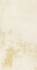 Керамогранит Ivory Natural 49,75x99,55 универсальный матовый