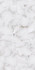 Керамогранит Opal White Ceramicoin 60х120 глянцевый универсальный P 2122-2