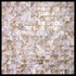 Мозаика SMA-12-20 300x300 20x20 ракушка