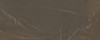 Керамогранит SL.IS.PPT.ST 3000х1200х5.6+ Arch Skin Stone Marble Brown структурированный универсальный