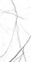 Керамогранит Atlantis Blanco Sugar Carving 60x120 Realistik универсальная плитка 80105