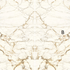 Керамогранит SAR.UM.CMVB.LC 3000х1500х6 Arch Skin Stone Calacatta полированный универсальный