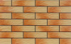 Клинкерная Atakama 9751 Фасадная Rustic настенная плитка