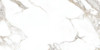 Керамогранит AOZ5 OOOC Carrera White Silky Rectified Goldis Tile 59.7х119.8 сатинированный универсальный УТ000030767