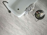 Керамогранит Gemstone White Lux 59,5x59,5 Ascot полированный напольный УТ000032148