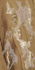 Декор Decor Solitaire Gold Visone Lapp/Rett 30x60 (комп/2 шт) керамогранит