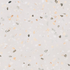 Керамогранит Doria Bianco 60x60 Rec. Pamesa матовый универсальный 017.840.0150.10382