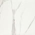 Керамогранит P- White-61x61 напольный матовый