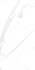 Керамогранит Royal Marble White Polished Rec 60х120 Yurtbay полированный универсальный P15006.6_sklad