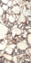 Керамогранит Calacatta Viola Antique 3D 60x120 Versace Harmony лаппатированный (полуполированный) универсальная плитка 0020842