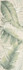 Настенная плитка fRCN Deco and More Tropical Jungle 30,5x91,5 RT Fap Ceramiche матовая керамическая УТ-00028037