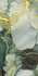 Керамогранит Dream gold 60x120 Seratonia Glossy полированный универсальная плитка