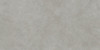 Настенная плитка Floss Silver Ductile 60x120 Living Ceramics матовая керамическая LV11456