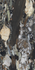 Керамогранит SF.LB.LQS.GL 2400х1200х6 Arch Skin Stone Marble Brown полированный универсальный