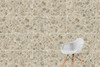 Керамогранит K951849R0001VTSP CityStone Чеппо Мультиколор R10A 60х120 Vitra матовый универсальная плитка