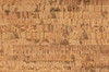 Пробковая панель Corkstyle EcoCork Linea 915x305 33 класс