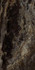Керамогранит MMAK Allmarble Frappucino Lux 60х120