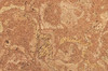 Пробковая панель Corkstyle EcoCork Madeira 10.5 мм 915x305 33 класс