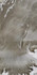 Керамогранит Grey Natural 49.75x99.55 универсальный матовый