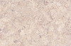 Пробковая панель Corkstyle EcoCork P999 Creme 10.5 мм 915x305 33 класс
