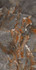 Керамогранит Bluezone Agyaro Brown High Glossy 60х120 полированный
